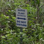 Ecological Restoration Design, Construction, and Maintenance in Urban and Rural Landscapes