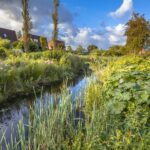 Maintenance of Green Infrastructure Practices