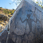 Tribal Treaty Rights and Natural Resource Co-Management in Washington State