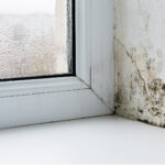 Moisture Control in Buildings: Moisture In (and Around) Buildings