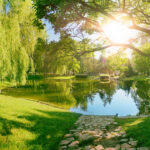 Pond Design and Construction