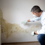 Designing and Constructing Moisture-Resistant Buildings in New York
