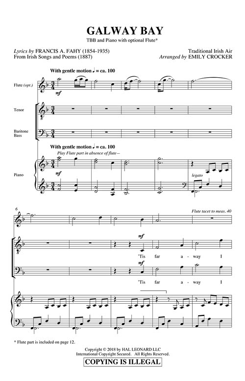 Galway Bay Willis Music Store