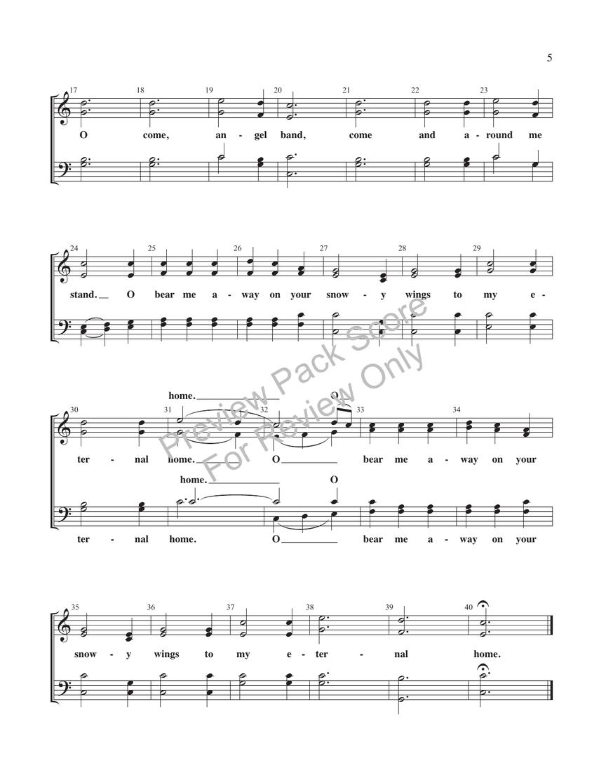 Sample Page 6