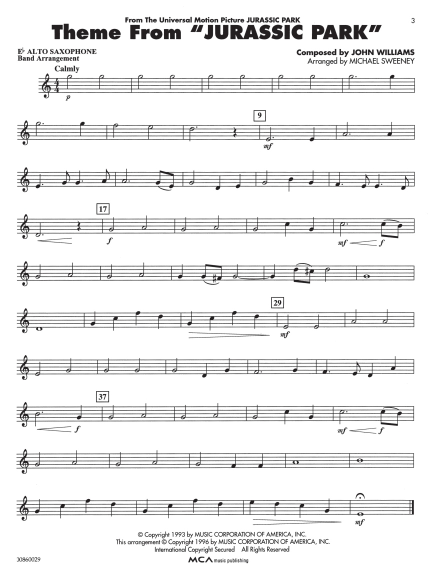 Sample Page 4