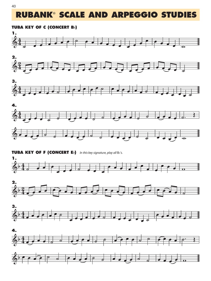 Sample Page 4