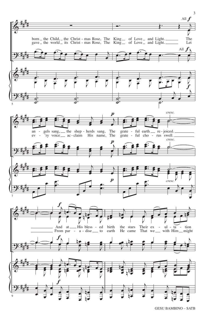Sample Page 3