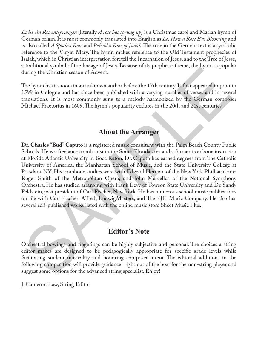 Sample Page 2
