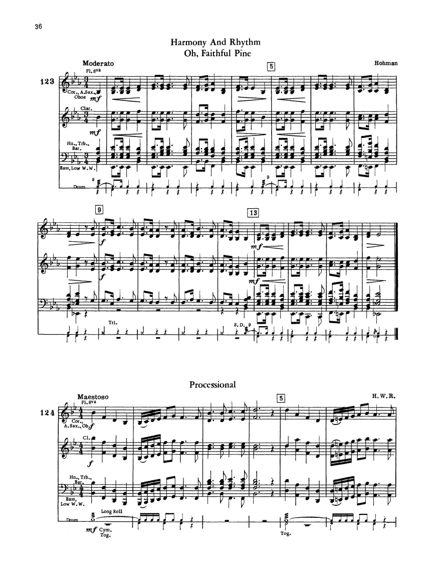 Sample Page 5