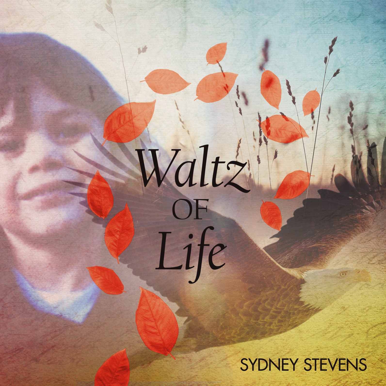 Cover Art for "Waltz of Life (Reprise) Piano solo" by Sydney Stevens