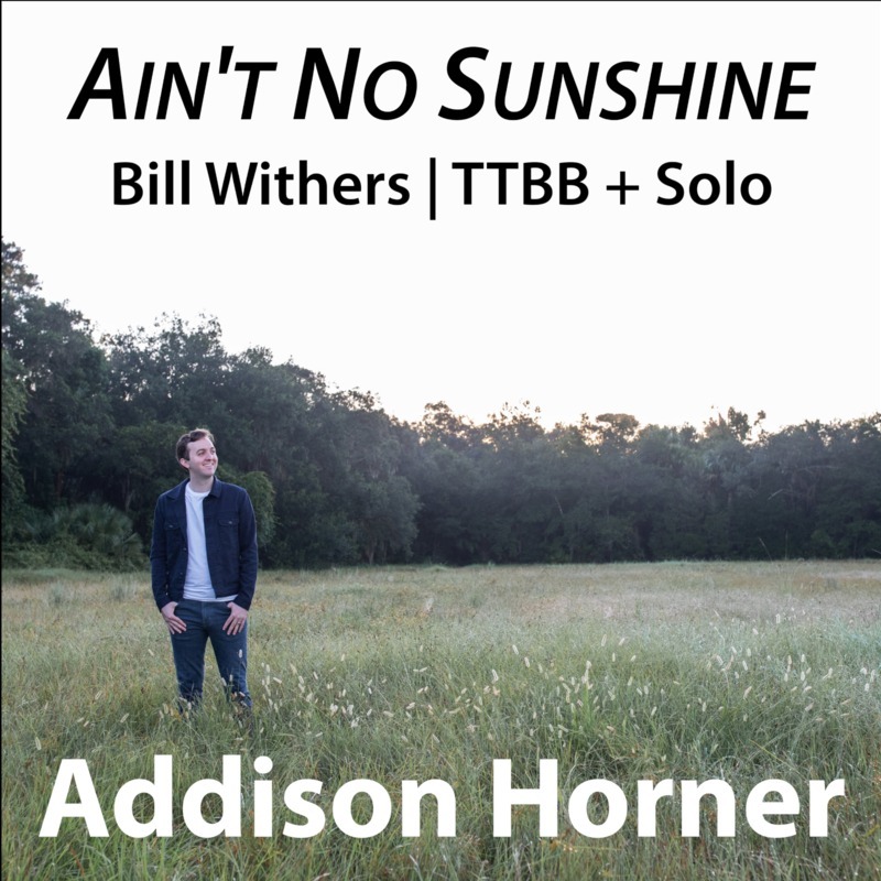 Carátula para "Ain't No Sunshine (arr. Addison Horner)" por Kris Allen