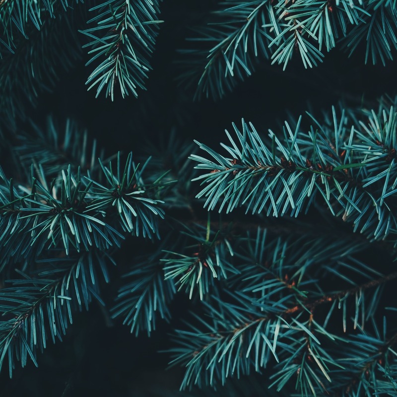 Carátula para "Irish Carol (arr. arr. J. Randolph Hall)" por Traditional Irish Carol