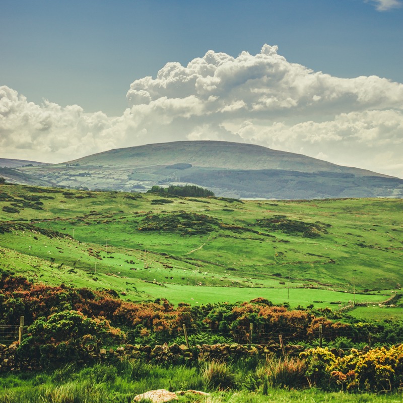 Cover Art for "The Spanish Lady (arr. Dominic Meccia)" by Traditional Irish Folk Song