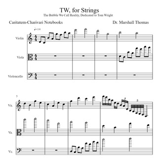 Cover Art for "TW, for Strings" by Celebrity Chamber Players