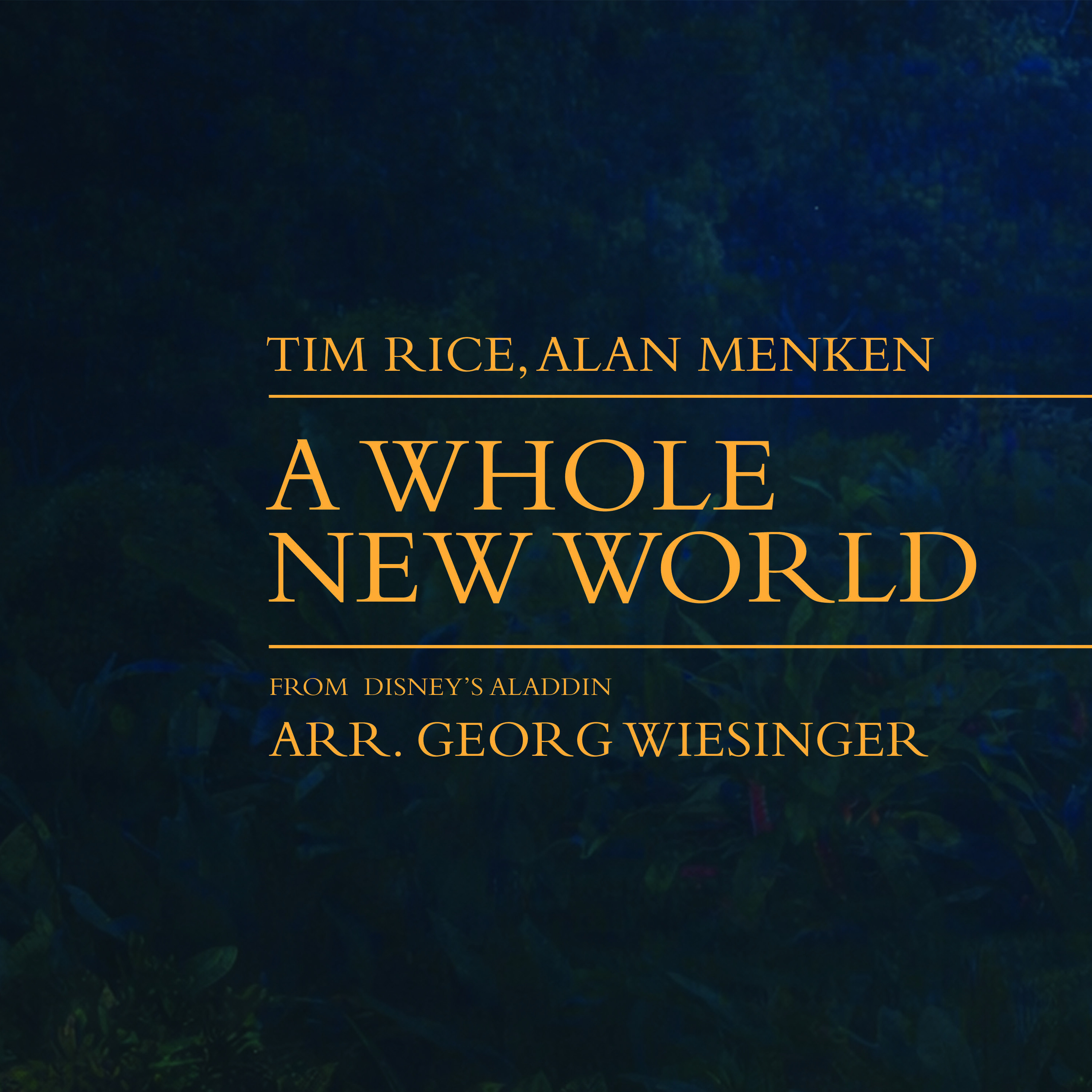 A Whole New World (arr. Georg Wiesinger) by Tim Rice 管弦乐团 封面