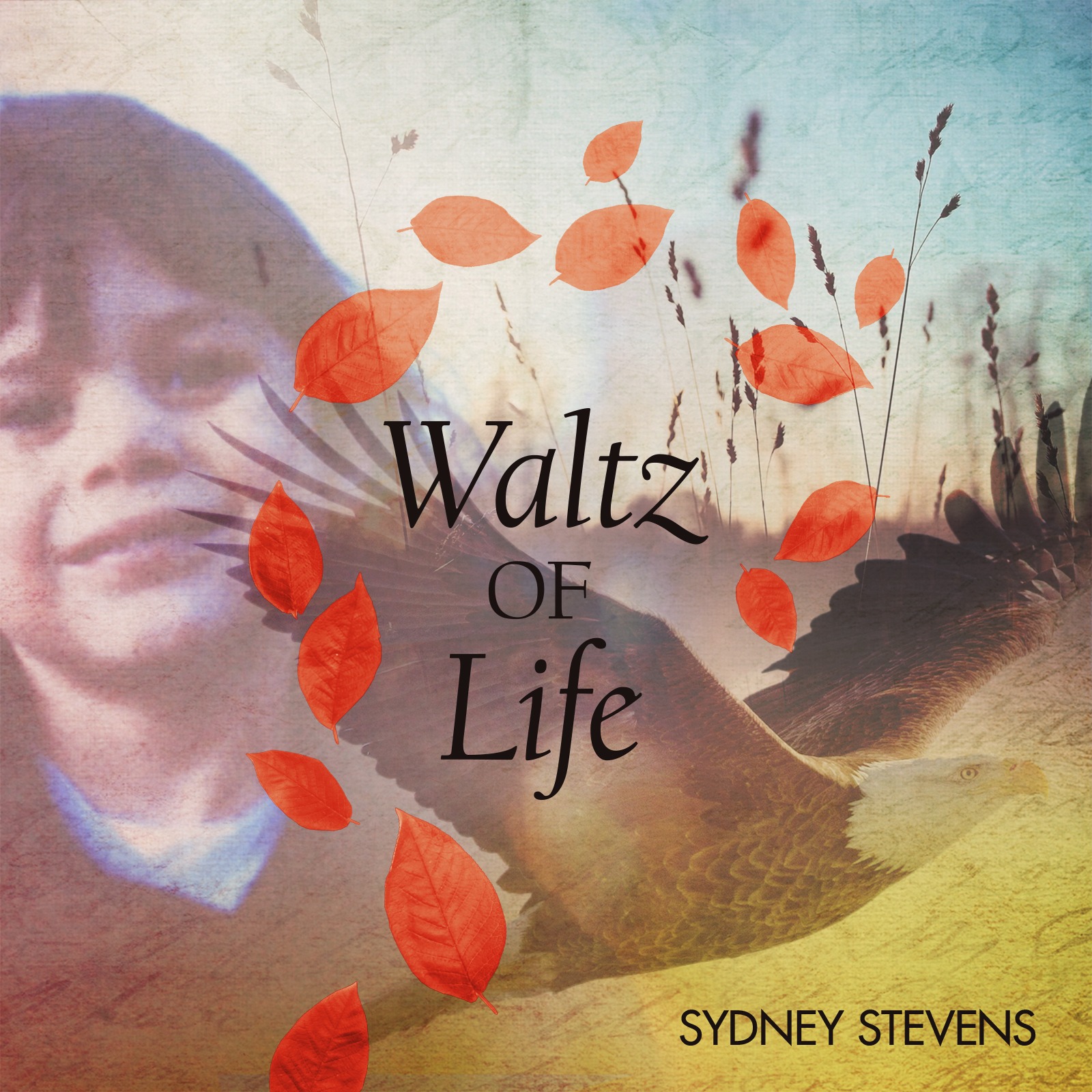 Cover Art for "B.J. (Piano Solo)" by Sydney Stevens