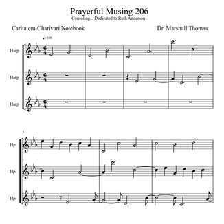 Carátula para "Prayerful Musing 206" por Celebrity Chamber Players