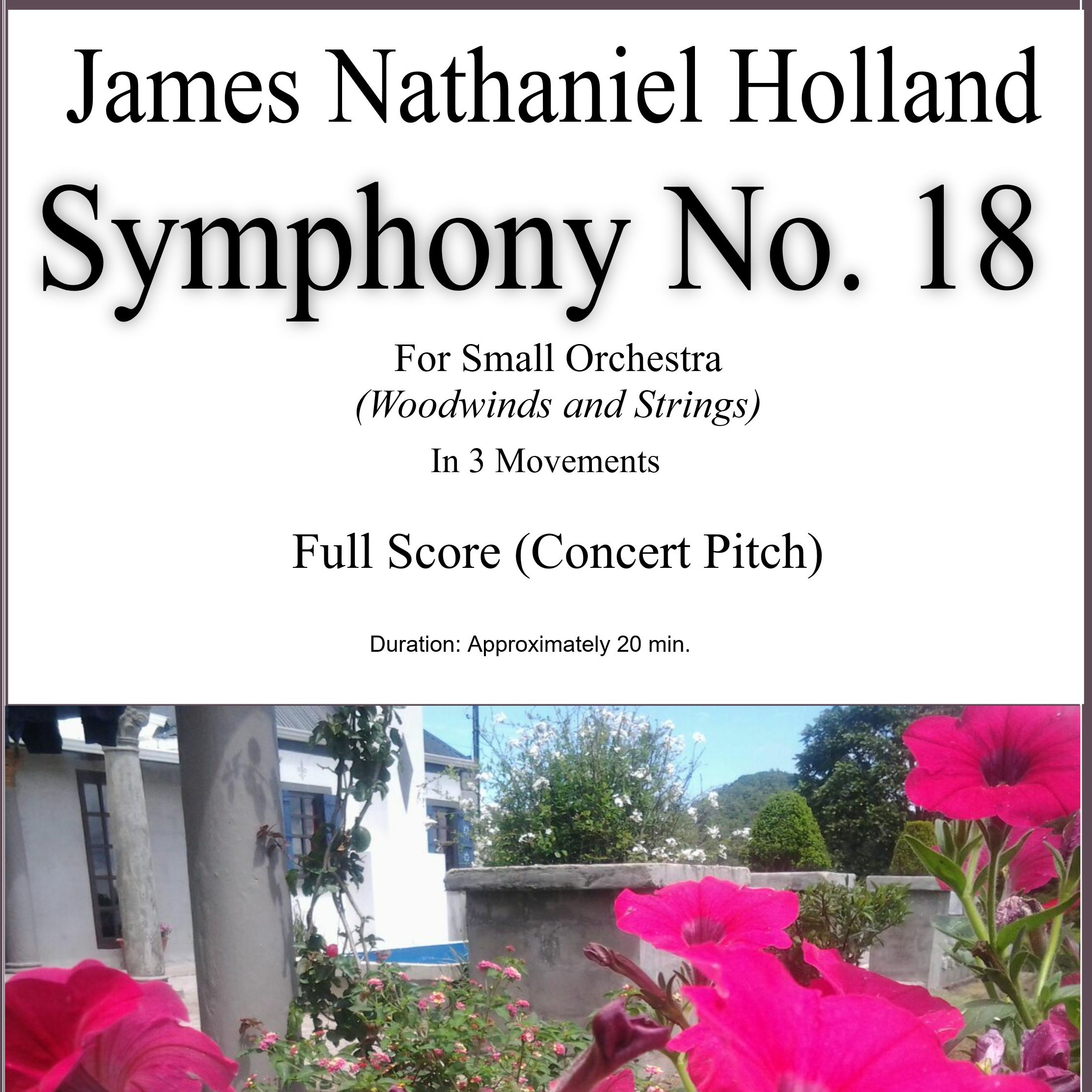 Symphony No 18 For Woodwinds and Strings (仅总谱) - James Nathaniel Holland Chamber Orchestra 仅总谱 封面