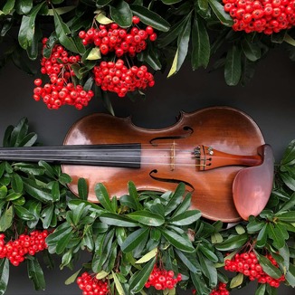 Cover Art for "Have Yourself A Merry Little Christmas (arr. Marini Kelley)" by Barry Manilow