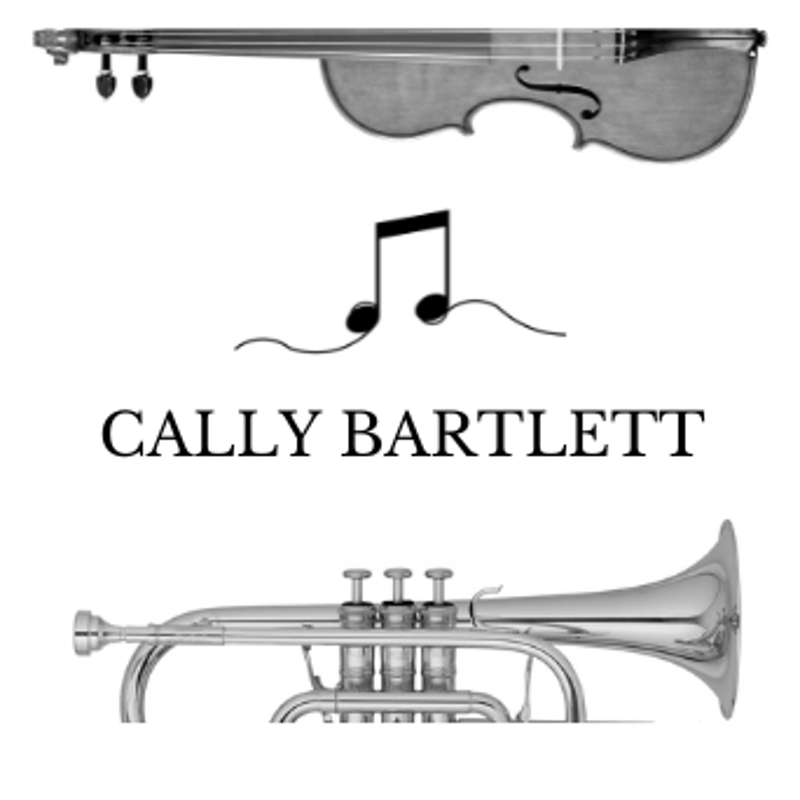 Carátula para "Story Of My Life (arr. Cally Bartlett)" por One Direction
