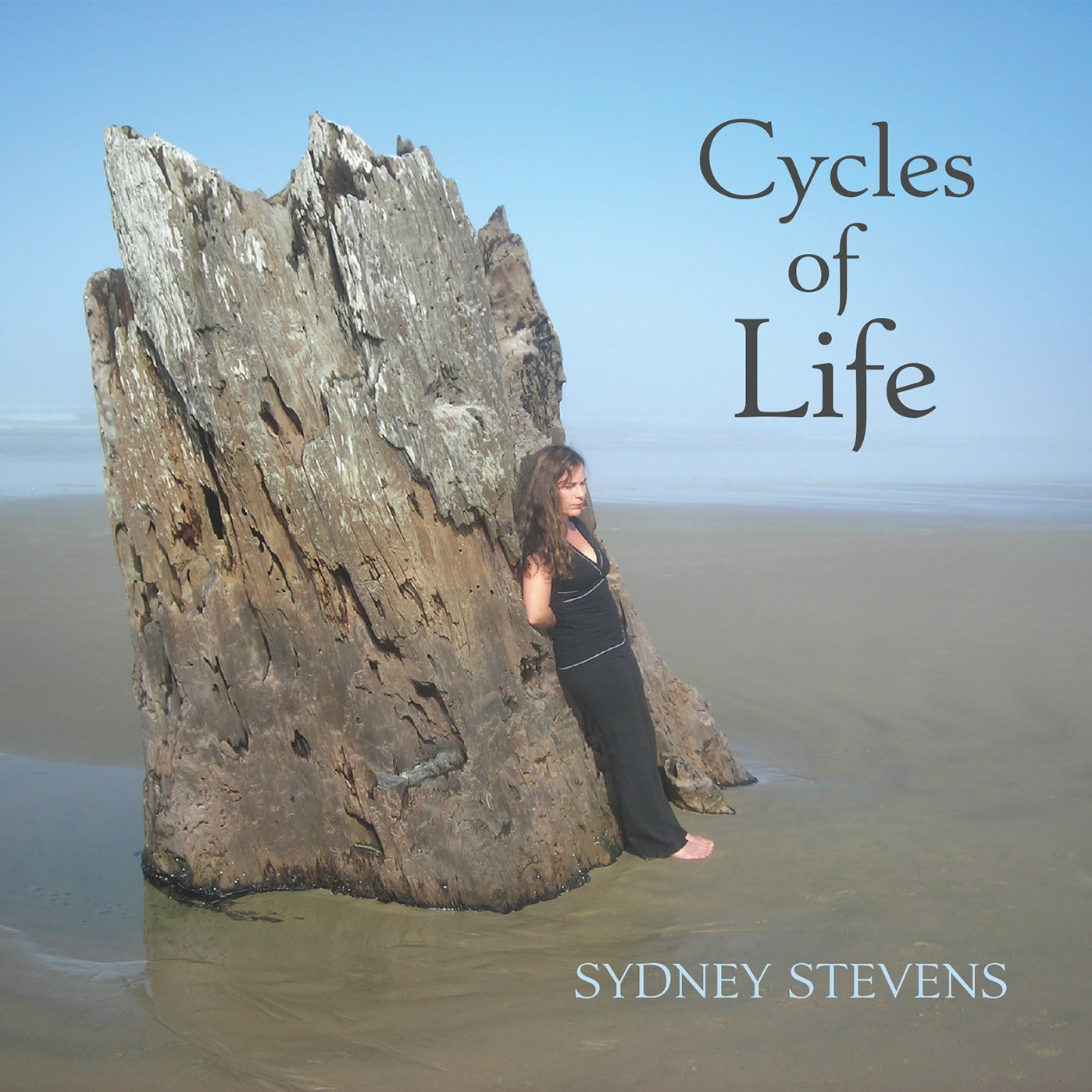 Cover Art for "Herbie (Piano/Vocal)" by Sydney Stevens