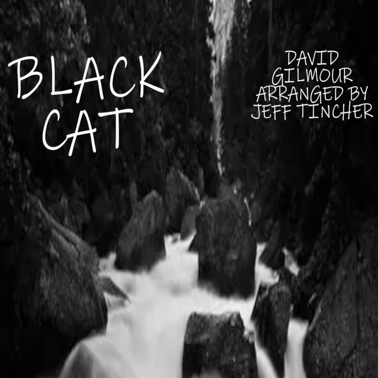 Cover Art for "Black Cat (arr. Jeff Tincher)" by David Gilmour