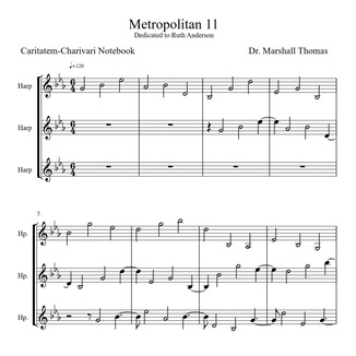 Couverture pour "Metropolitan 11" par Celebrity Chamber Players
