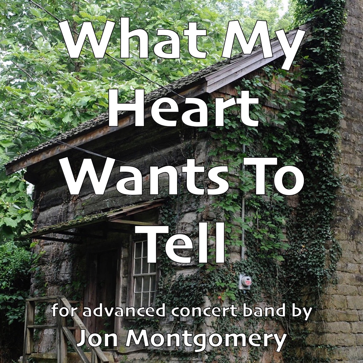 Cover Art for "What My Heart Wants To Tell" by Jon Montgomery