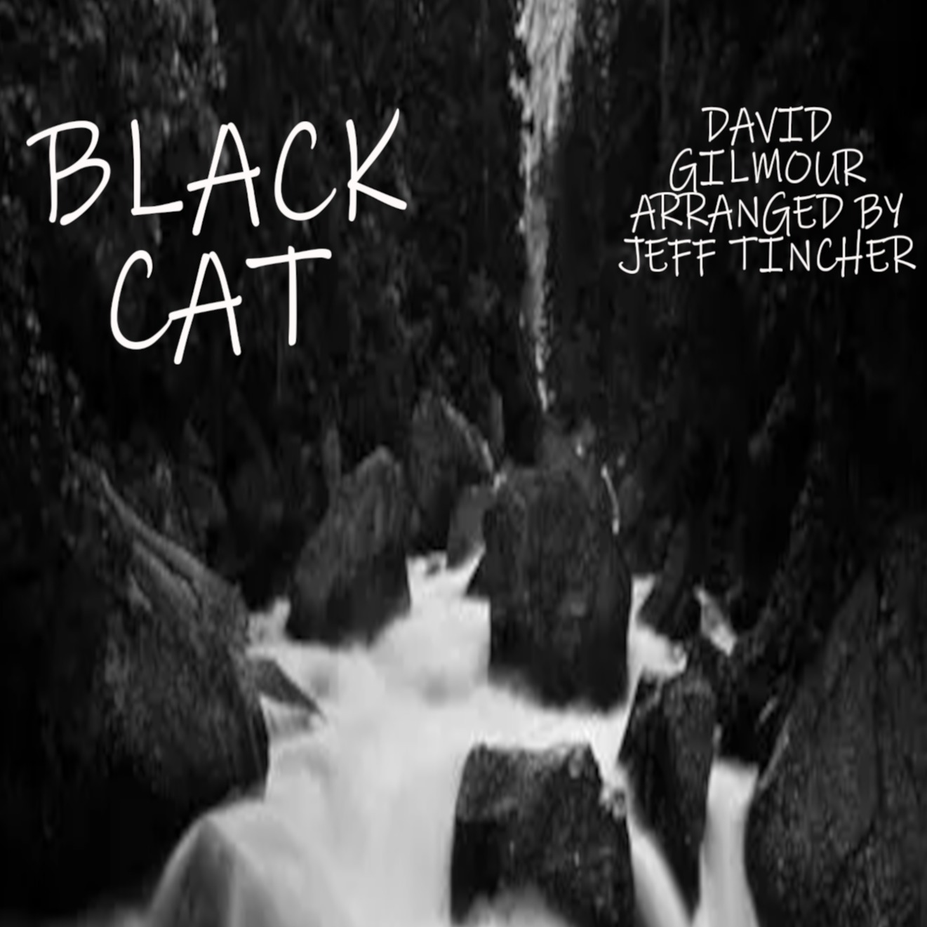 Couverture pour "Black Cat (arr. Jeff Tincher)" par David Gilmour