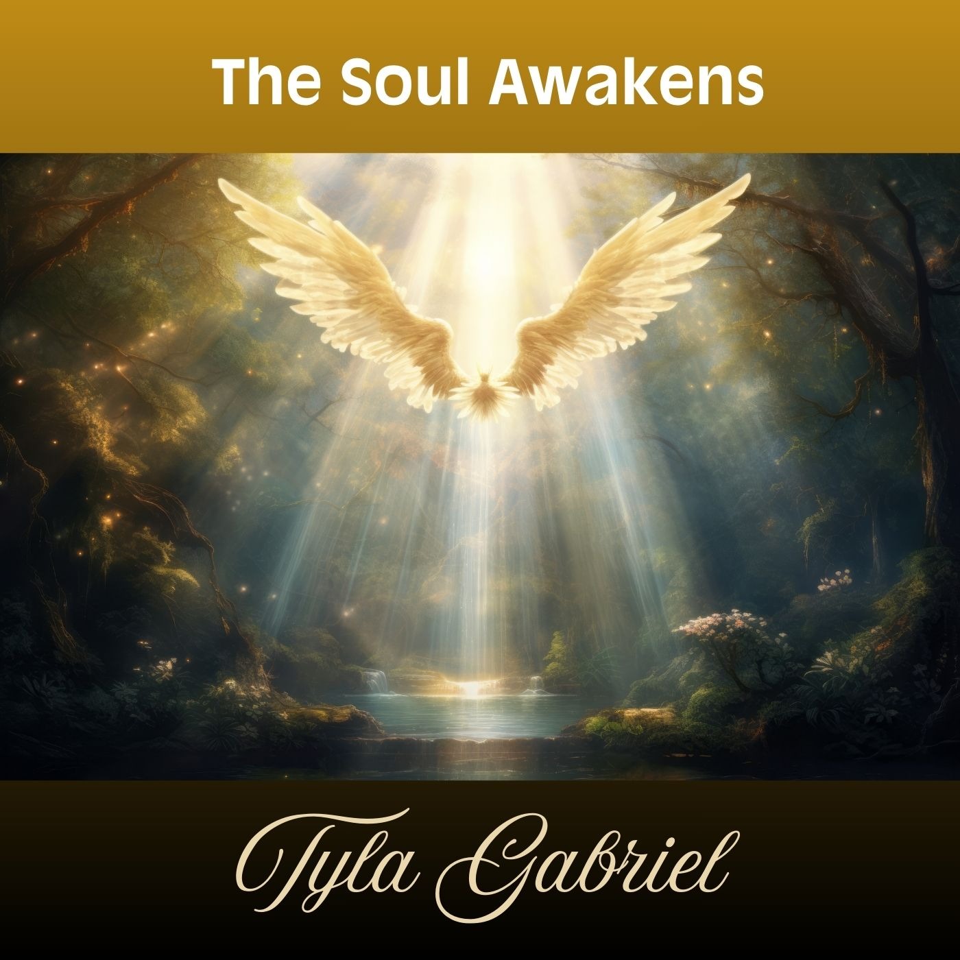 Cover Art for "The Soul Awakens" by Tyla Gabriel