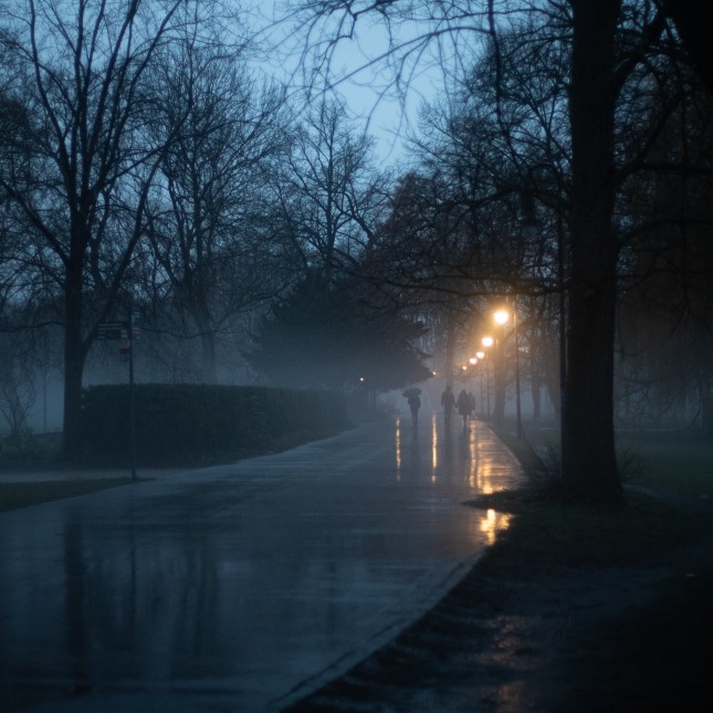 Cover Art for "Midnight Serenade" by Manuel Peguero