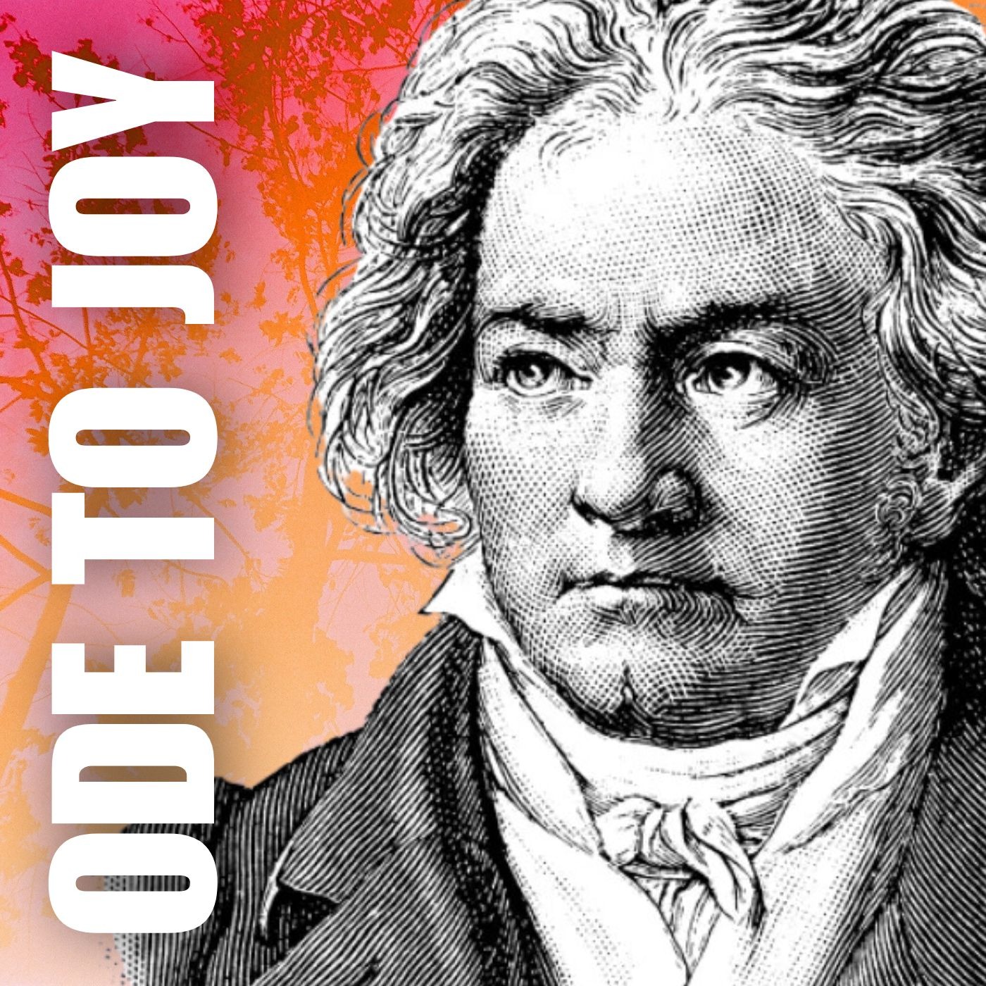 Beethoven • Ode to Joy | violin sheet music w/ piano accompaniment (arr ...