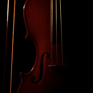 Cover Art for "A Symptom Of Being Human (arr. Stabby Kitten)" by Shinedown