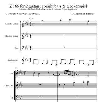 Carátula para "Z 165 for 2 guitars, upright bass & glockenspiel" por Celbrity Chamber Players