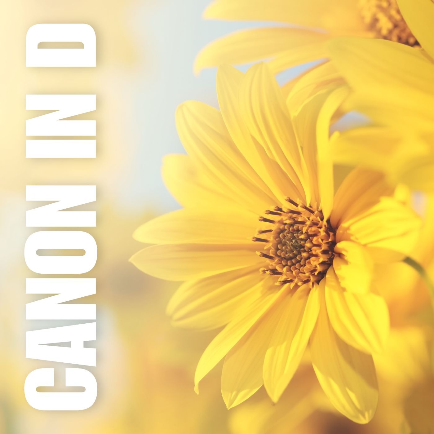 Carátula para "Pachelbel Canon in D • flute duet sheet music [chords] (arr. Benzaiten Editions)" por Johann Pachelbel