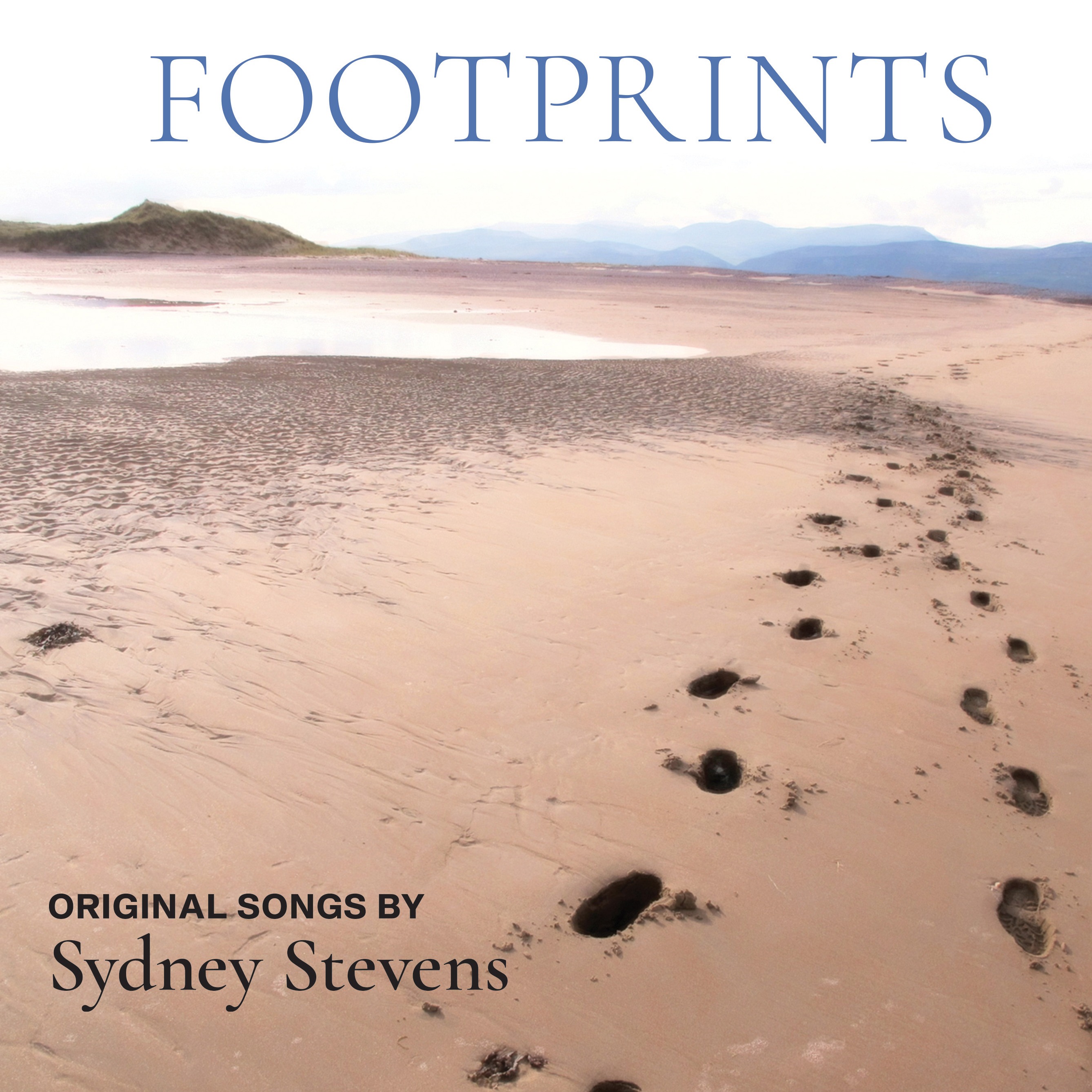 Couverture pour "Fool's Game (Piano/Vocal)" par Sydney Stevens