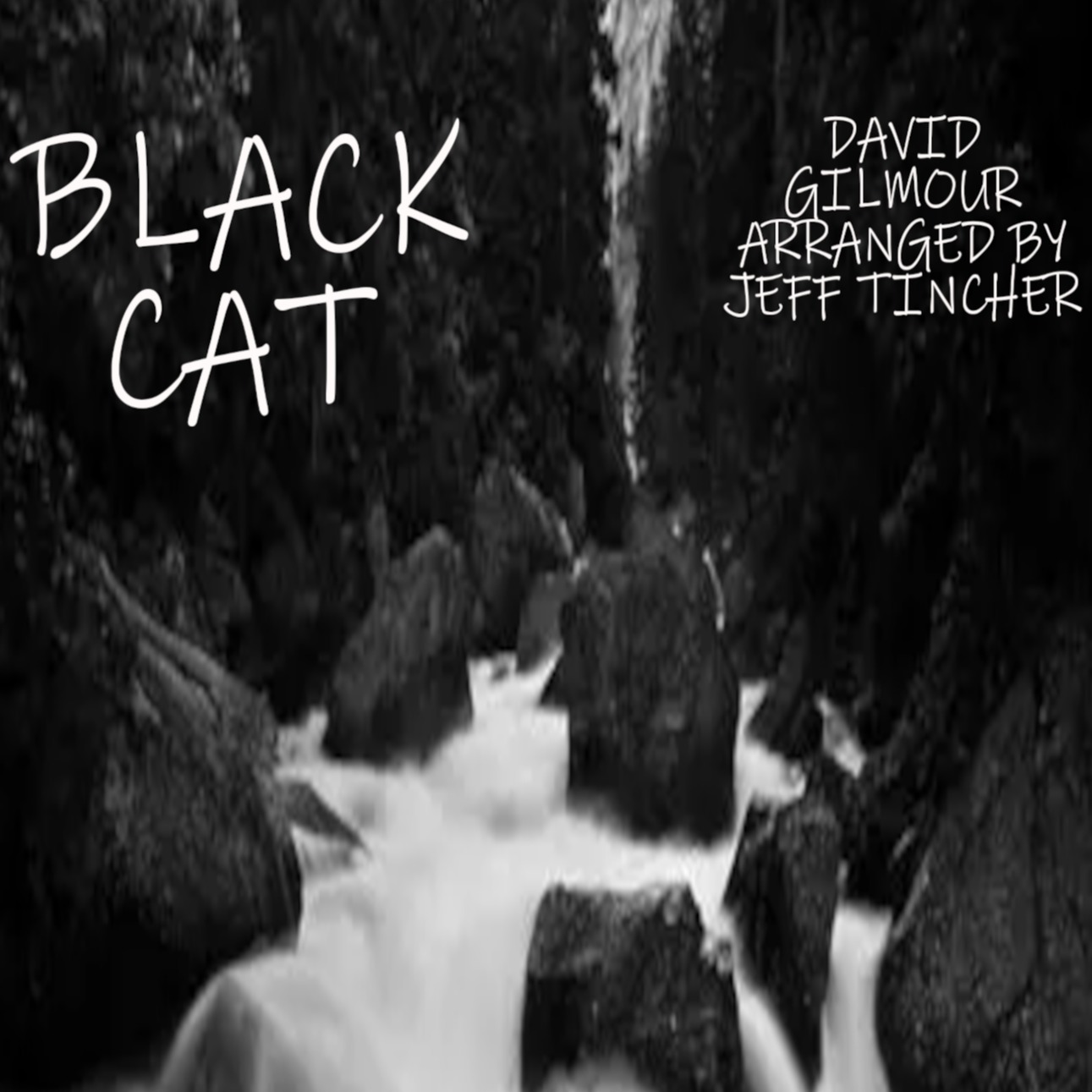 Couverture pour "Black Cat (arr. Jeff Tincher)" par David Gilmour