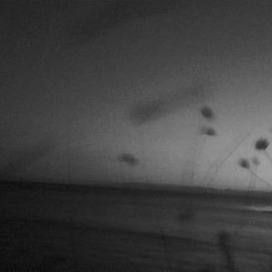 Cover Art for "The Frenchman" by Maxence Cyrin