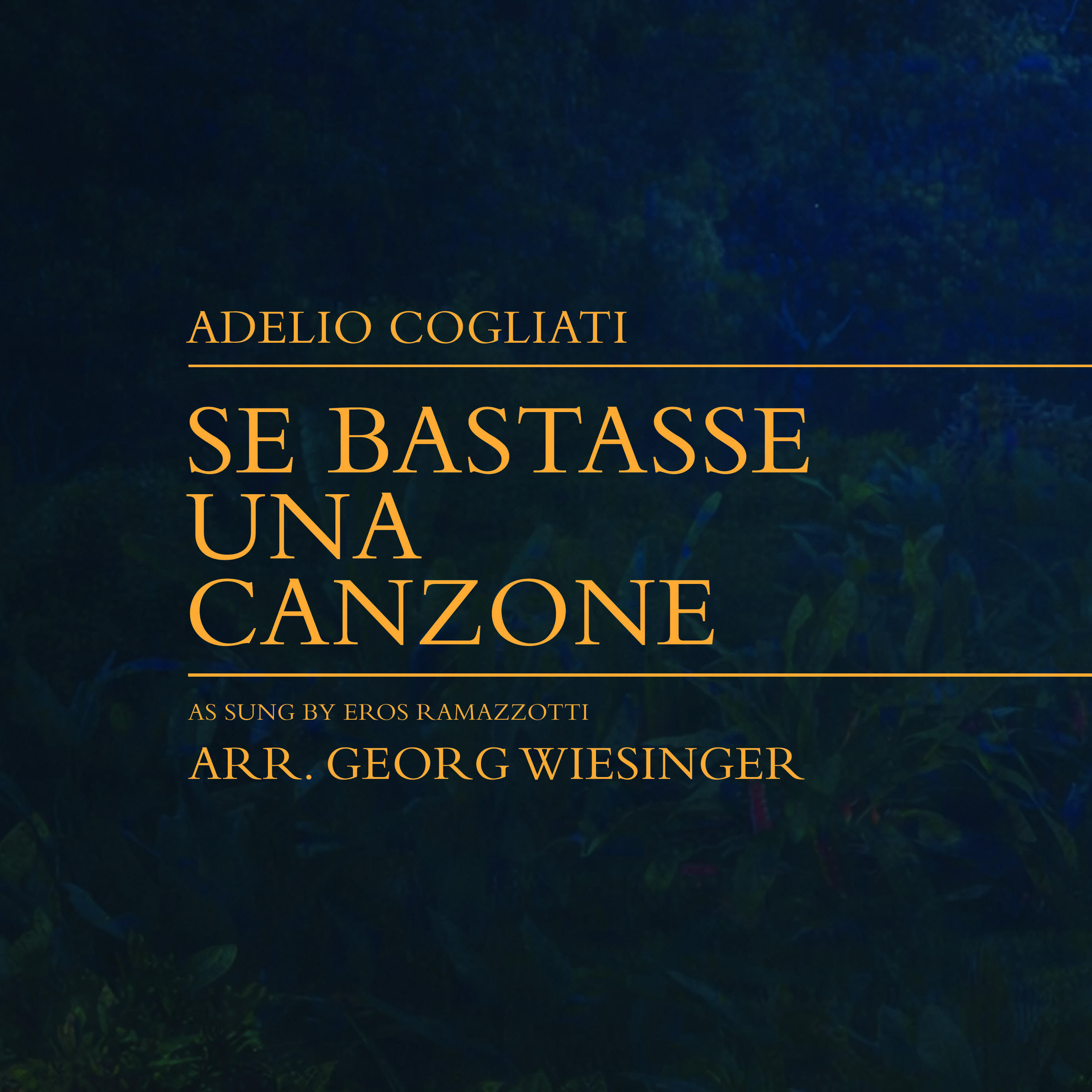 Carátula para "Se Bastasse Una Canzone (arr. Georg Wiesinger)" por Adelio Cogliati