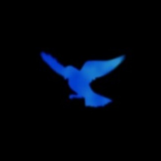 Abdeckung für "Bluebird (arr. Zihui Ma)" von Ikimonogakari