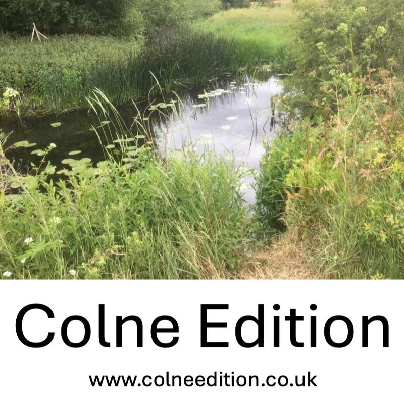 Cover Art for "Essex Service (Magnificat and Nunc Dimittis) version for SATB and organ" by Alan Bullard