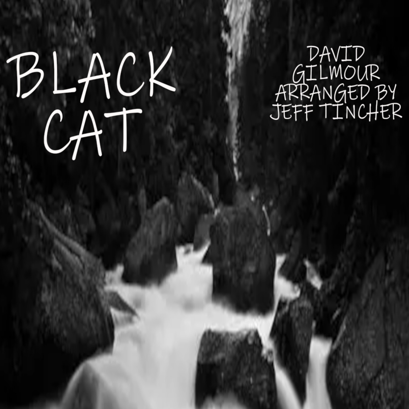 Couverture pour "Black Cat (arr. Jeff Tincher)" par David Gilmour