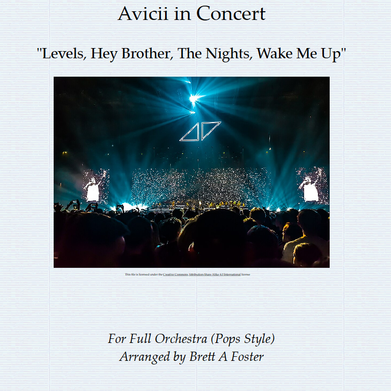 组曲：Levels 与 Hey Brother、The Nights 和 Wake Me Up（Brett A Foster 编曲）- Brett A Foster 管弦乐团 封面