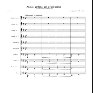 Carátula para "Andante cantabile con alcuna licenza - Second movement from Symphony n. 5 (arr. Alessandro Macrì)" por P. I. Tchaikovsky
