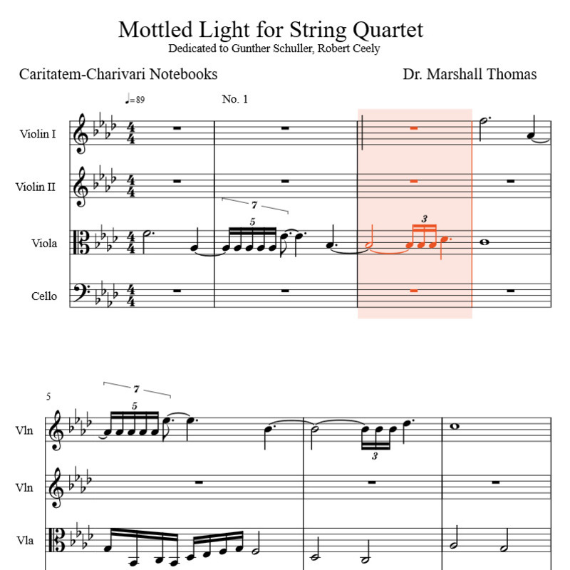 Carátula para "Mottled Light for String Quartet" por Celebrity Chamber Players