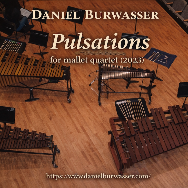 Abdeckung für "Pulsations" von Daniel Burwasser
