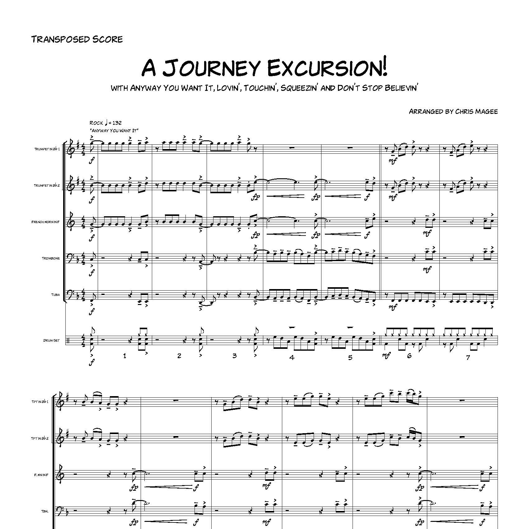 Abdeckung für "Medley: Anyway You Want It with Lovin', Touchin', Squeezin' and Don't Stop Believin' (arr. Chris Magee)" von Chris Magee