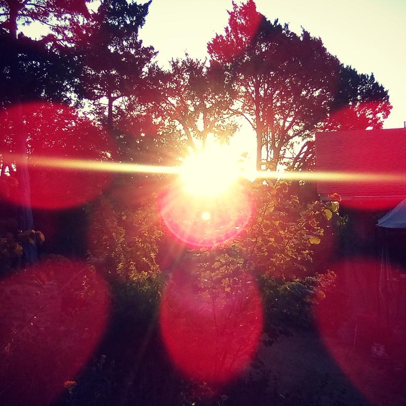 Cover Art for "Bach Cello Suite No.1 Prelude For Bass Guitar (arr. Tracy Dean McCallum)" by Johann Sebastian Bach