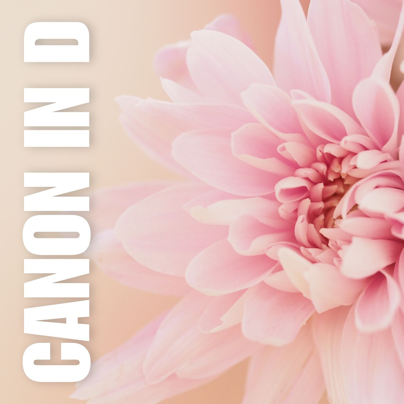 Cover Art for "Pachelbel Canon in D • cello sheet music with piano accompaniment (arr. Benzaiten Editions)" by Johann Pachelbel