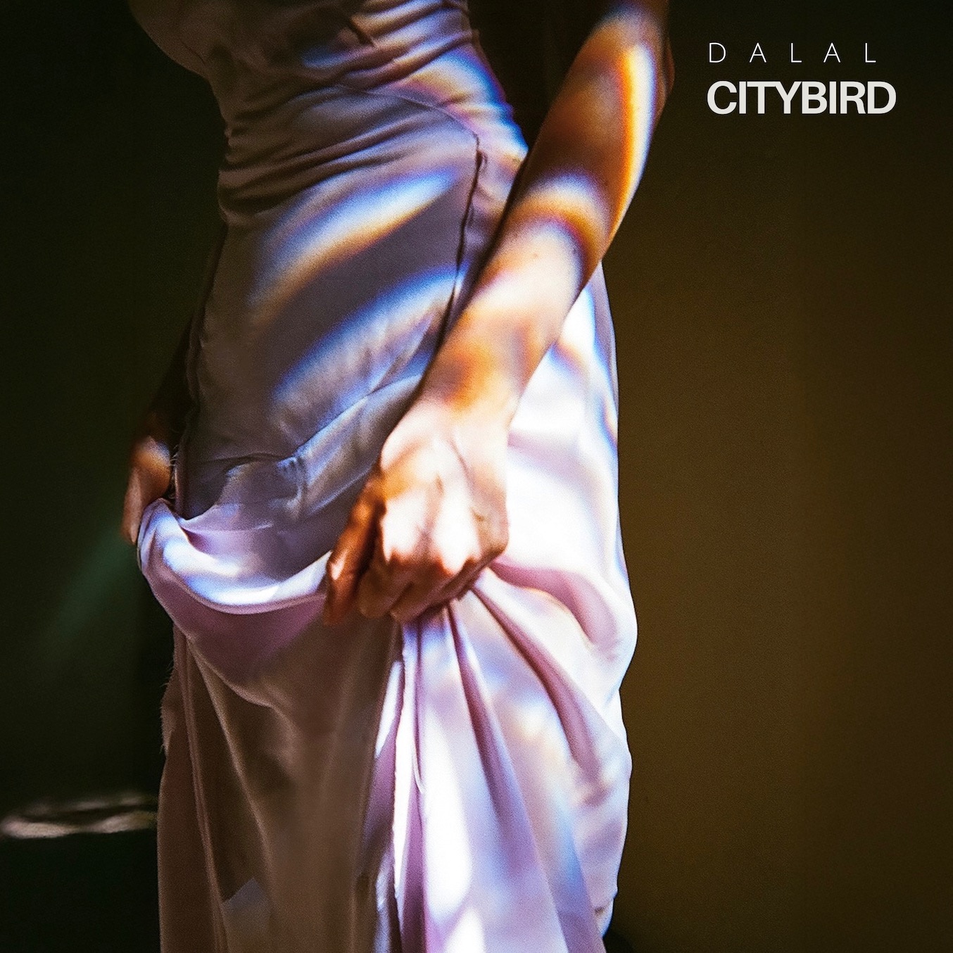 Couverture pour "Citybird" par Dalal